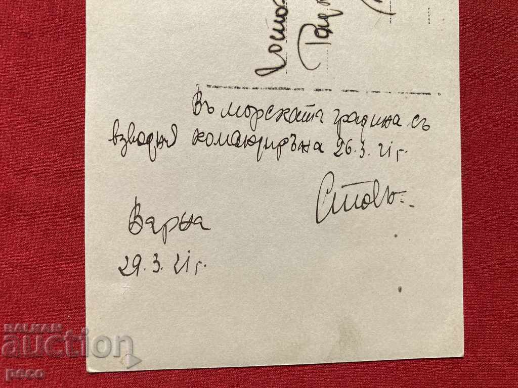 Sailors with a dog in the sea garden Platoon. commander 1921 - 6