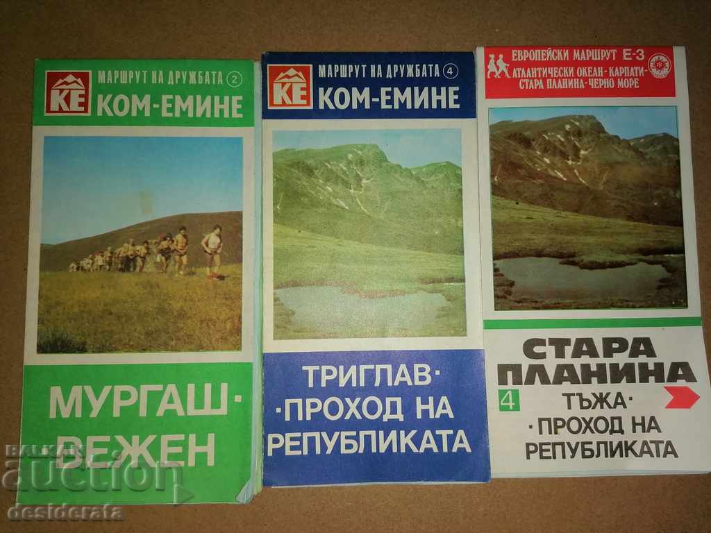 Geographical / Tourist maps - over 300 pieces - 6