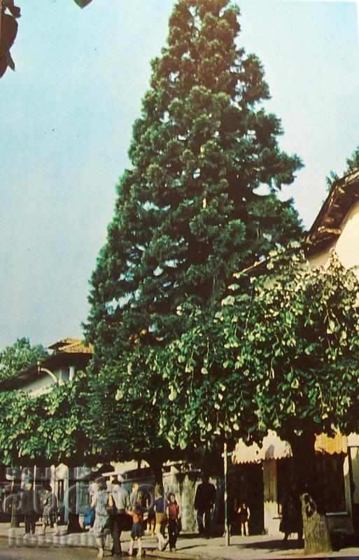 Vŭrshets - ul. G. Dimitrov