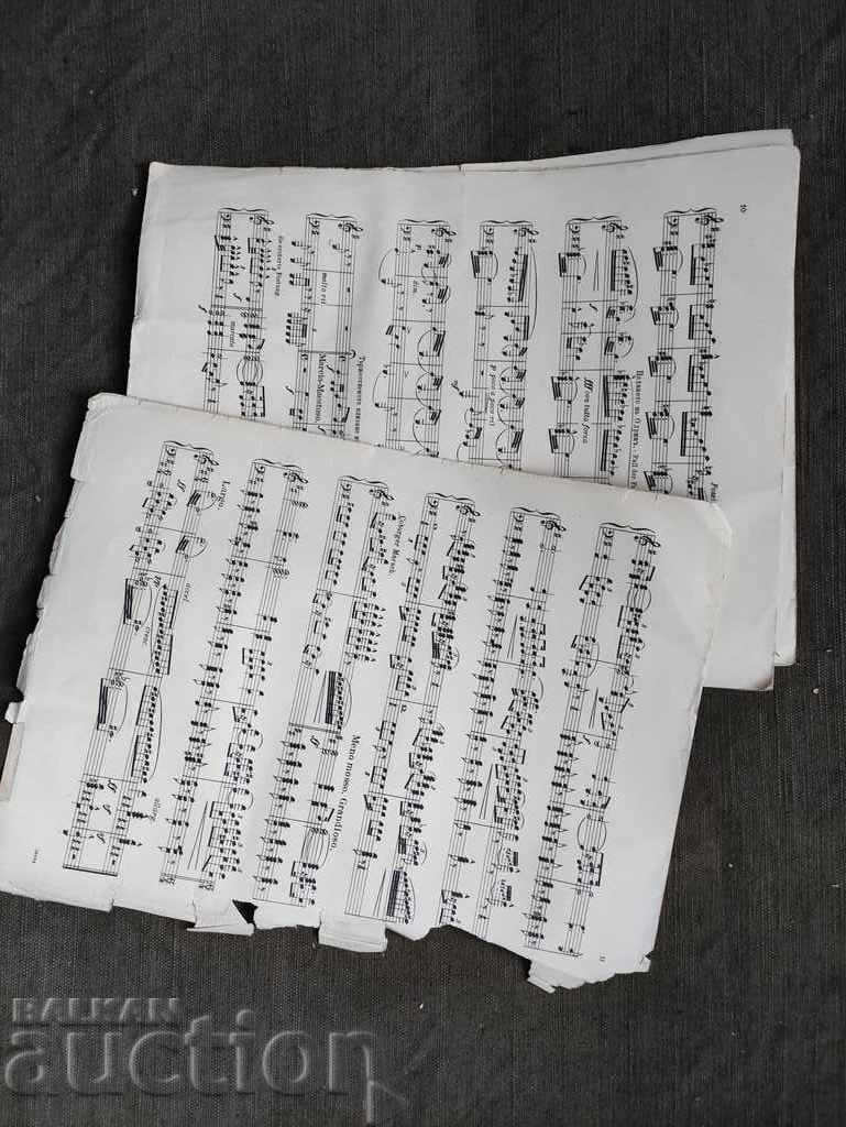 Edirne. Alois Matsak Lifeguard Orchestra with price 500.00 BGN | € 255.65