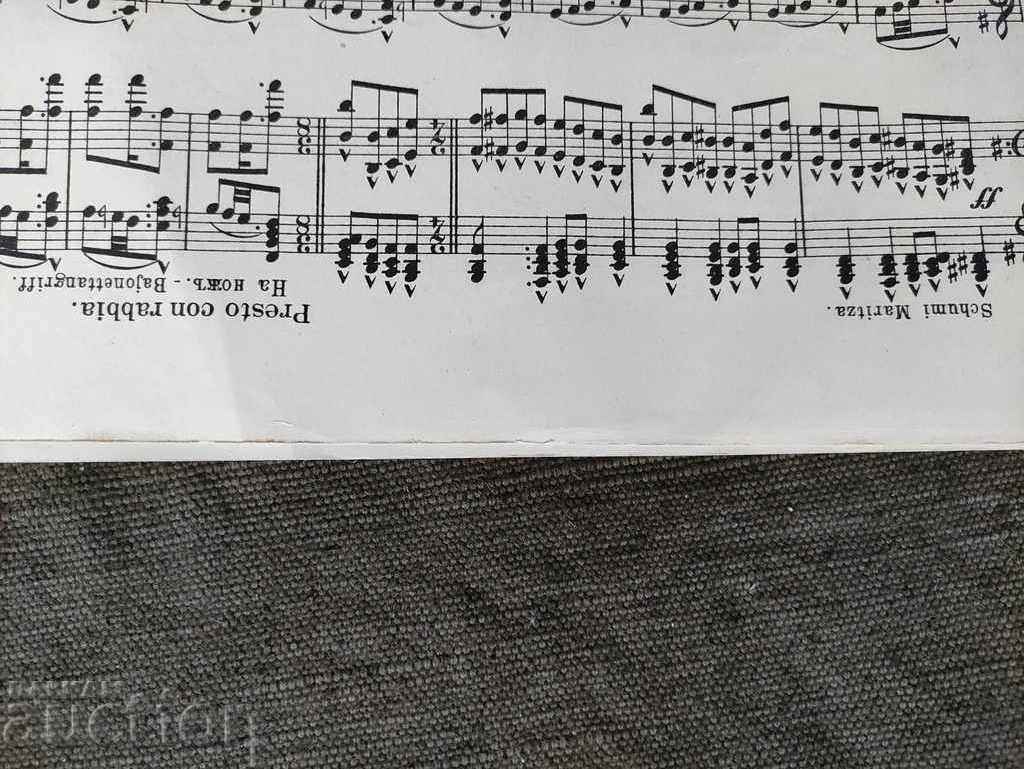 Edirne . Alois Mazak Orchestra Gărzii de Corp - 6