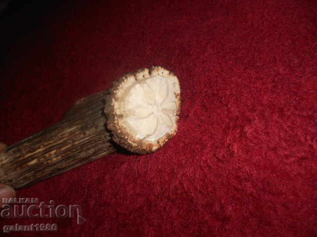 Licitație CUȚIT DE VÂNĂTOARE Licitație CUȚIT DE VÂNĂTOARE