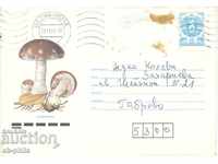 Пощенски плик - Гъби - Боздуганка