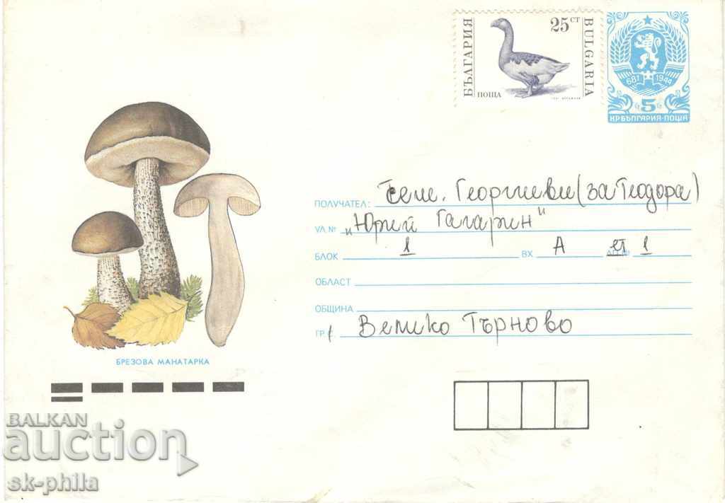 Envelope - Mushrooms - Birch mushroom