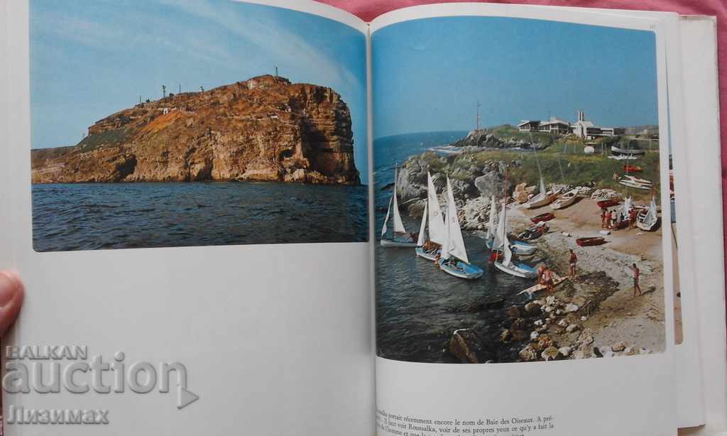 Delivery of Bulgaria - Stanislav Sivriev Delivery of Bulgaria - Stanislav Sivriev