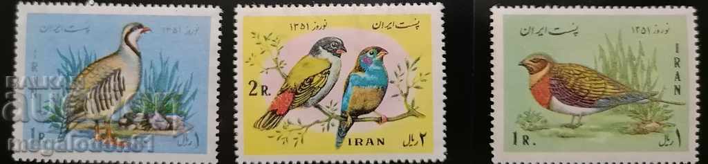 Ιράν - πουλιά