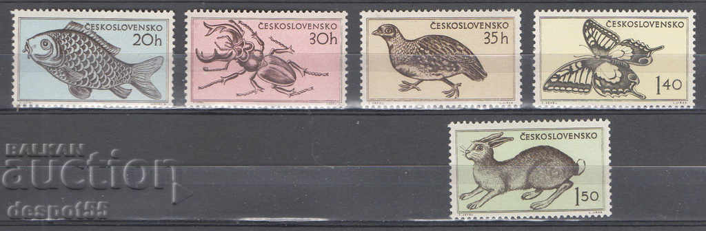 1955. Czechoslovakia. Fauna - Animals and insects.