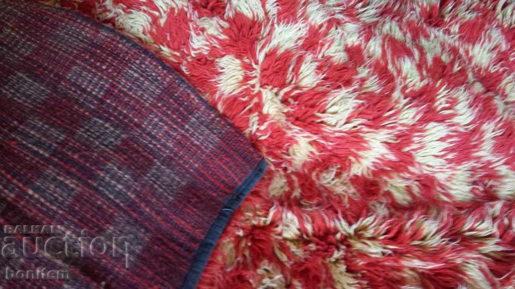 Kitenik with price 99.00 BGN | € 50.62 Kitenik with price 99.00 BGN | € 50.62