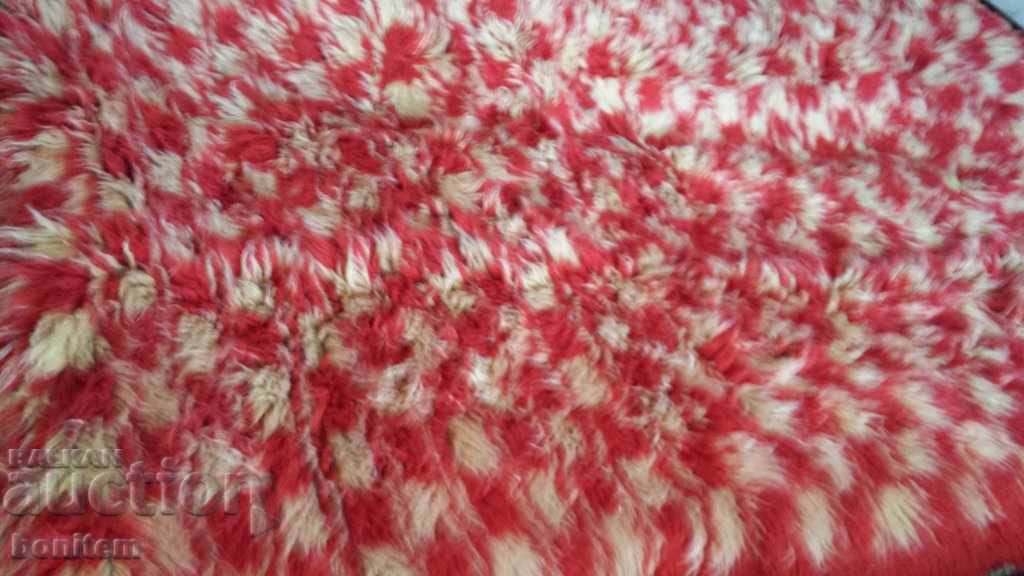 Auction Kitenik Auction Kitenik