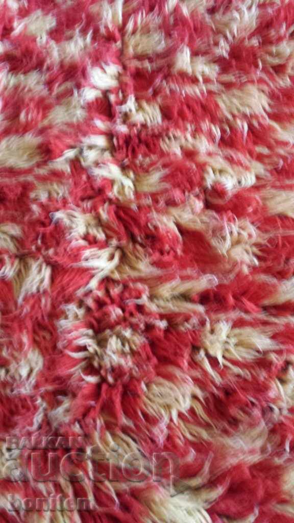 Delivery of Kitenik Delivery of Kitenik