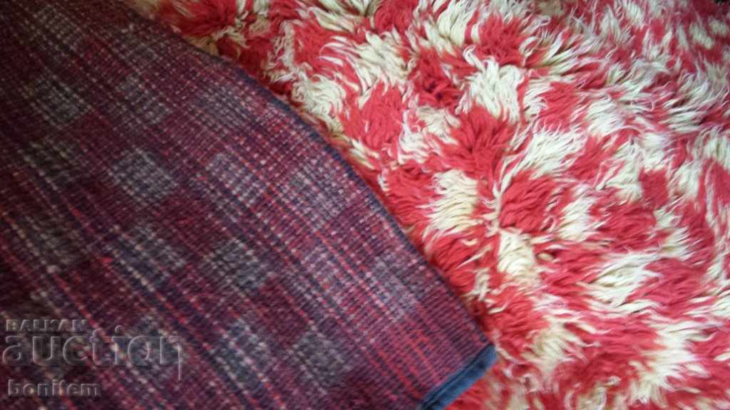 Kitenik - 5 Kitenik - 5