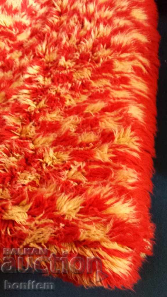 Kitenik - 6 Kitenik - 6