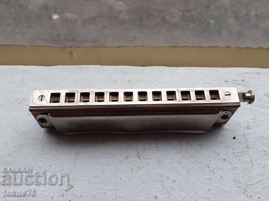 Delivery of Old collector's German accordion