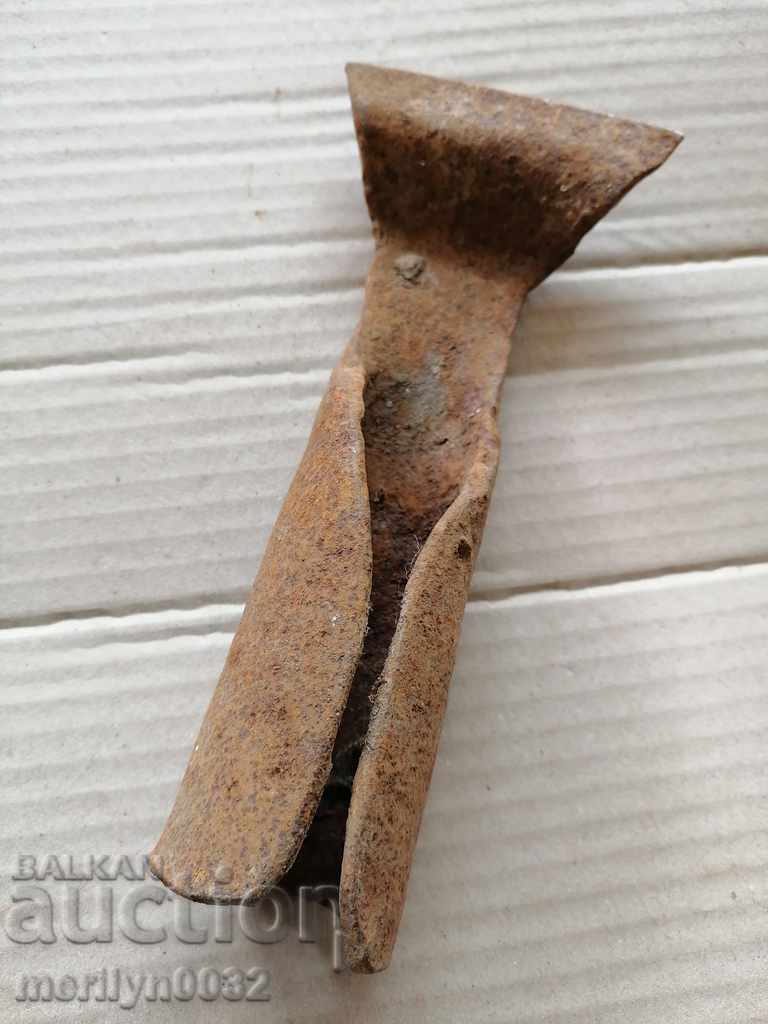 Fungus, fungus, fungus, fungus scraped wrought iron - 6 Fungus, fungus, fungus, fungus scraped wrought iron - 6