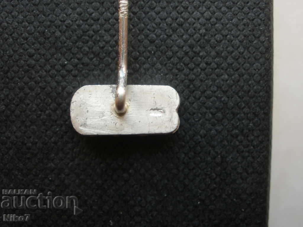 Silver, German badge-OVB - 7 Silver, German badge-OVB - 7