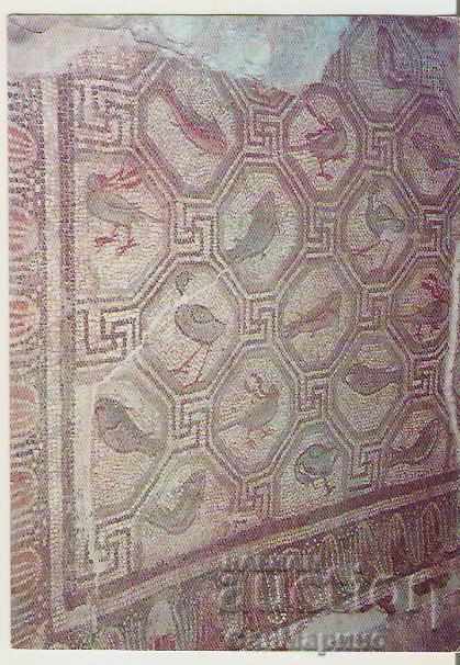 Card Bulgaria Sandanski Antique mosaic *