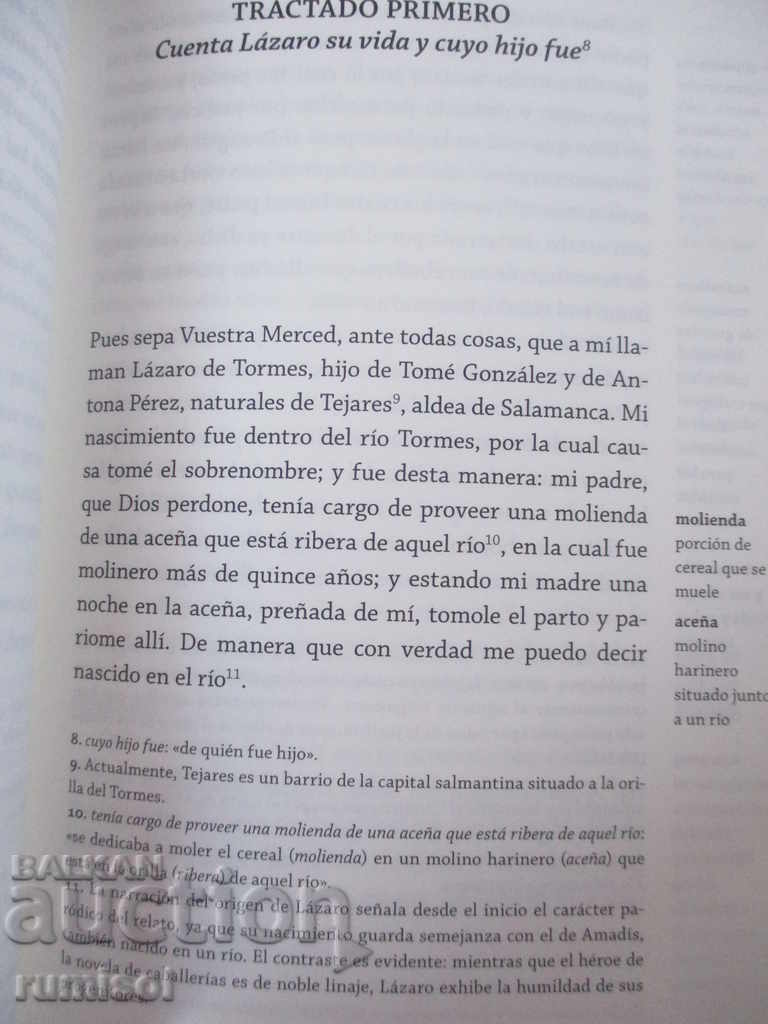 Δημοπρασία Ο Λαζαρίγιο του Τόρμες