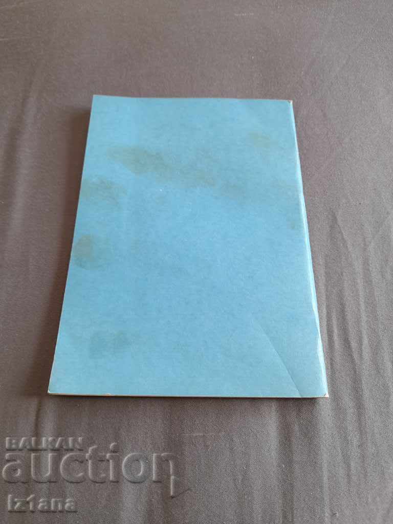 Auction Operating instructions using a children's gas mask Auction Operating instructions using a children's gas mask