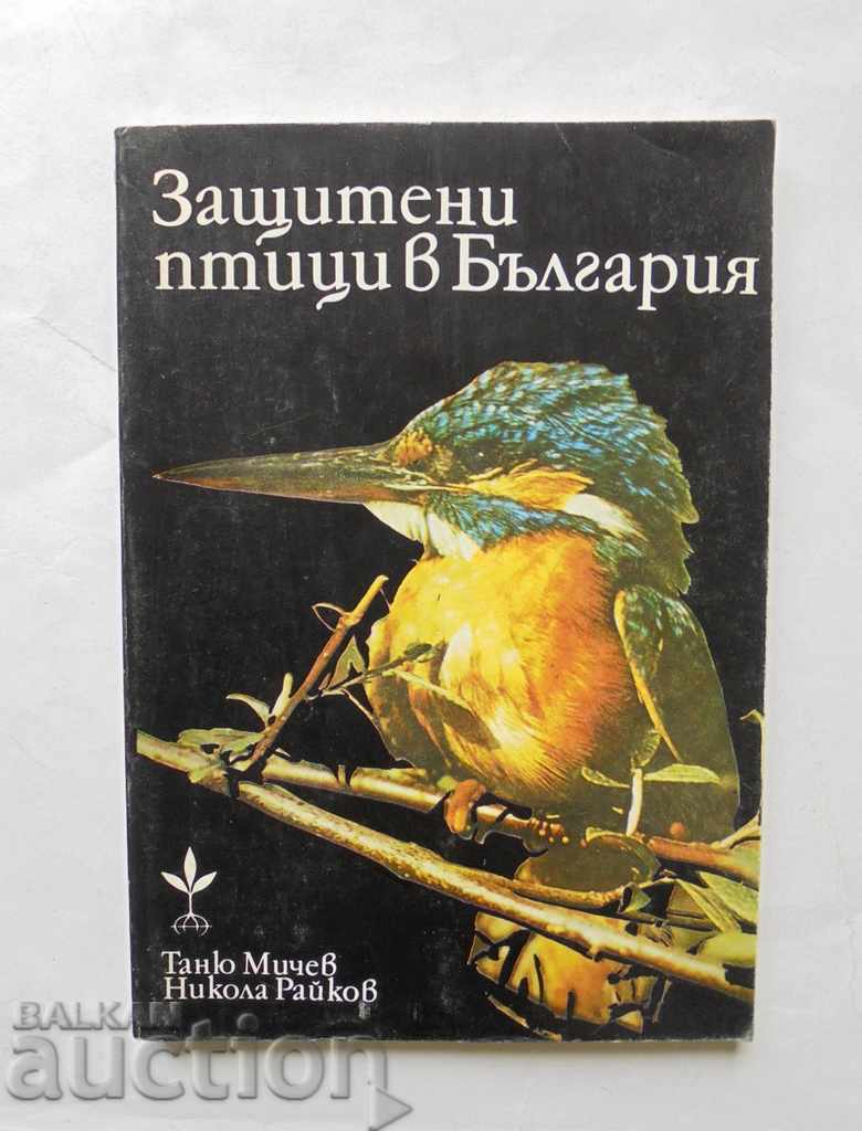 Защитени птици в България - Таню Мичев, Никола Райков 1980