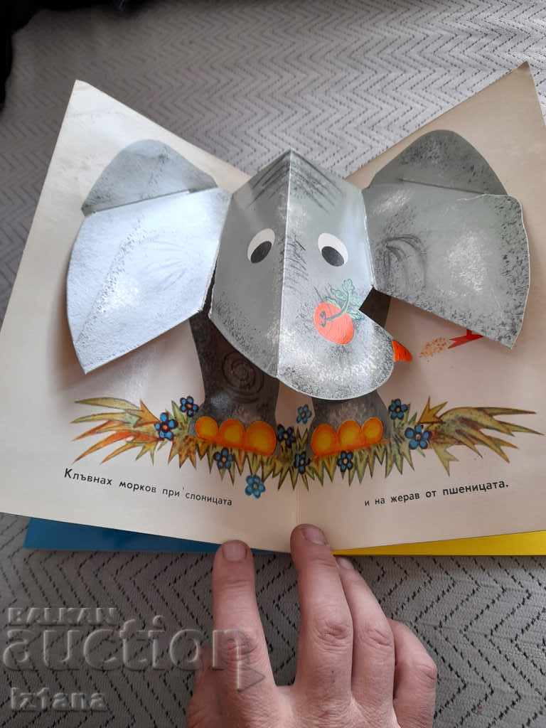 Panoramic book Where Sparrow Has Lunch - 6 Panoramic book Where Sparrow Has Lunch - 6