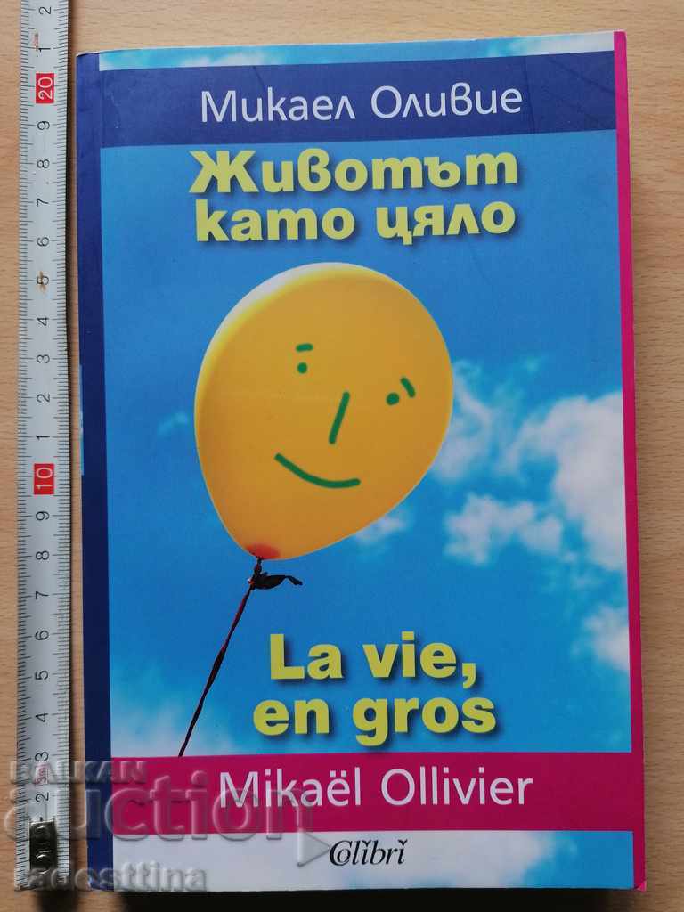 Η ζωή γενικά Mikael Olivier La vie, en gros