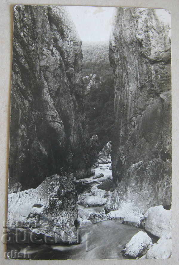 Old postcard mountain landscape photo Master PC