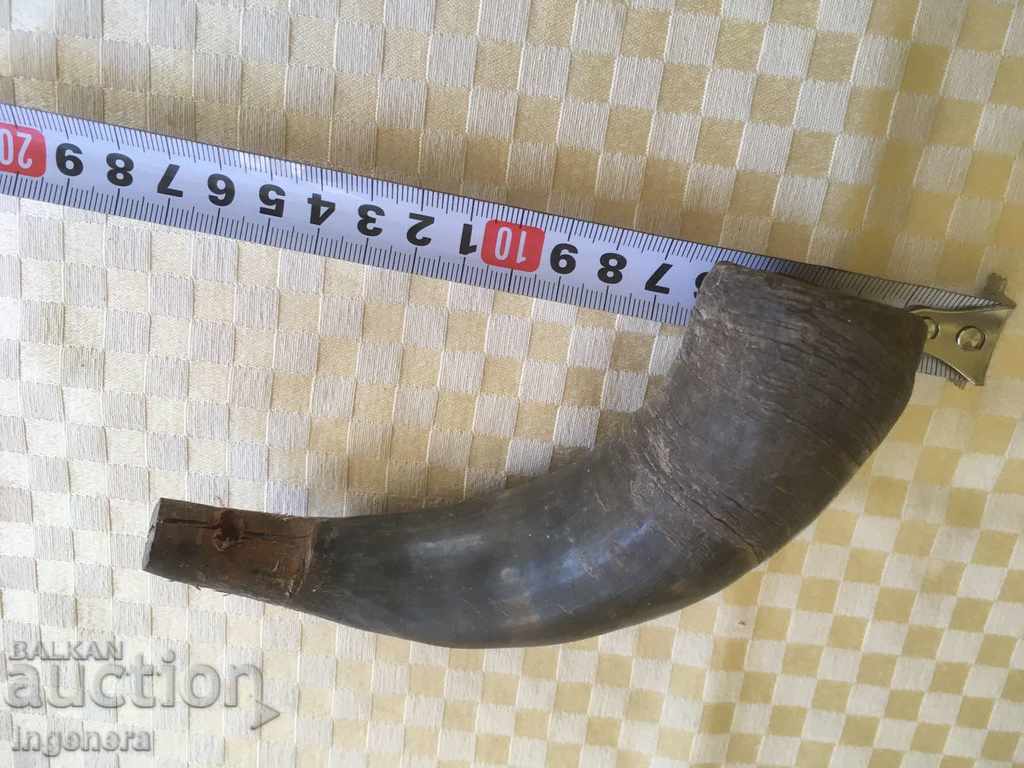 Auction HORRIBLE OR INTERIOR Auction HORRIBLE OR INTERIOR