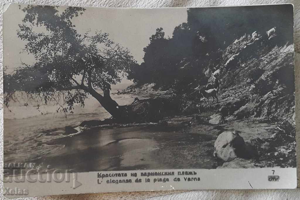Παλιά φωτογραφία καρτ ποστάλ της Βάρνας της δεκαετίας του 1930