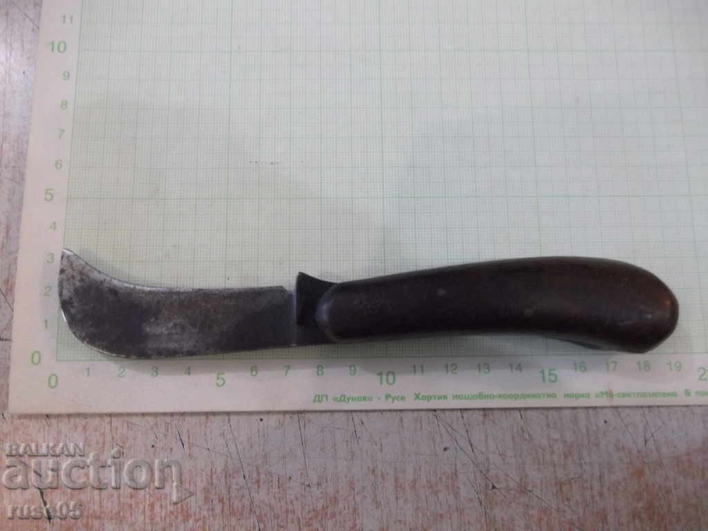 Παλιό πόδι φρούτων του φυτού "Petko Denev - Gabrovo" με τιμή 70.00 BGN | € 35.79 Παλιό πόδι φρούτων του φυτού "Petko Denev - Gabrovo" με τιμή 70.00 BGN | € 35.79