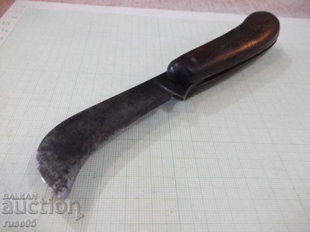 Παράδοση Παλιό πόδι φρούτων του φυτού "Petko Denev - Gabrovo" Παράδοση Παλιό πόδι φρούτων του φυτού "Petko Denev - Gabrovo"