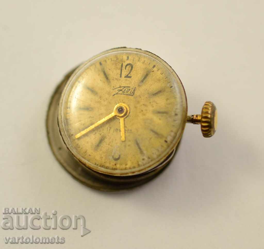 Mecanismul ZARYA - funcționează