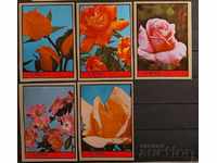 Ajman 1972 Λουλούδια / τριαντάφυλλα Μη διάτρητη σειρά MNH