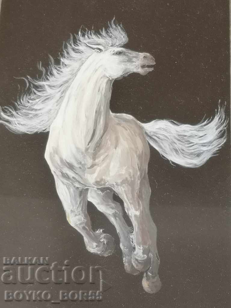 Professional Author's Picture Drawing Horse