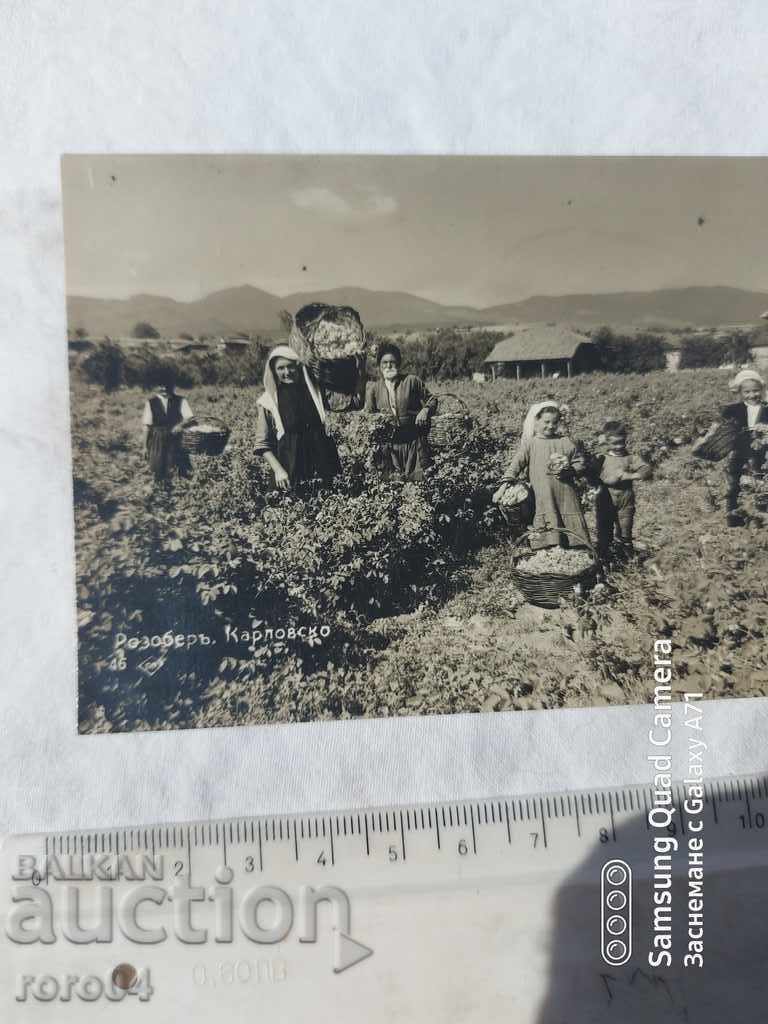 Δημοπρασία ΡΟΖΟΜΕΡ - ΚΑΡΛΟΒΣΚΟ