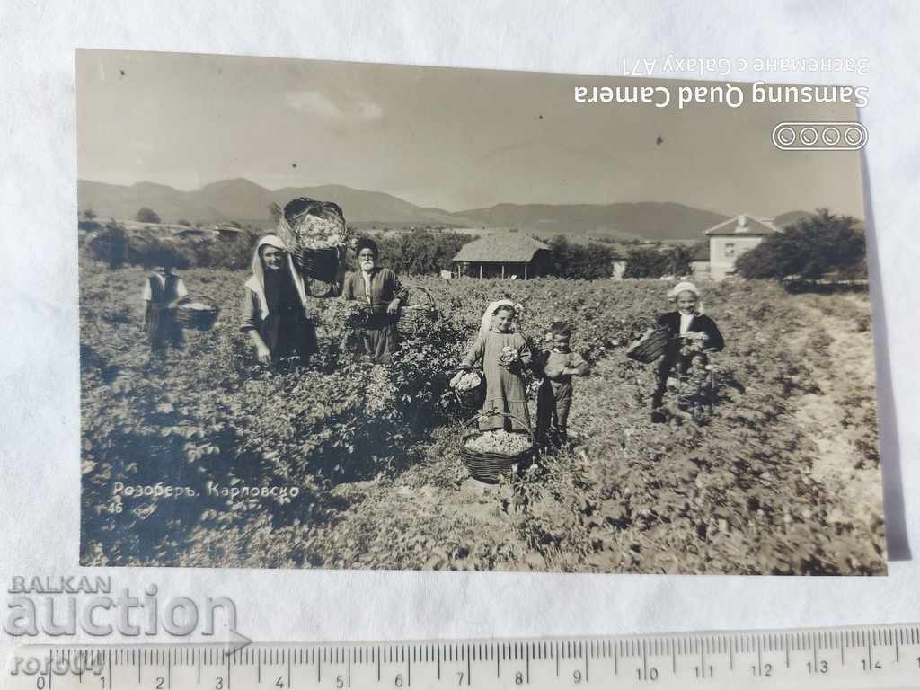 Παράδοση ΡΟΖΟΜΕΡ - ΚΑΡΛΟΒΣΚΟ