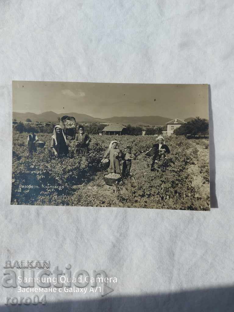 ΡΟΖΟΜΕΡ - ΚΑΡΛΟΒΣΚΟ