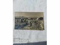 ΡΟΖΟΜΕΡ - ΚΑΡΛΟΒΣΚΟ