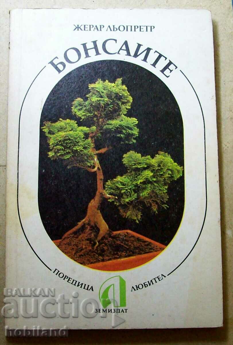 Bonsai with price 5.00 BGN | € 2.56 Bonsai with price 5.00 BGN | € 2.56