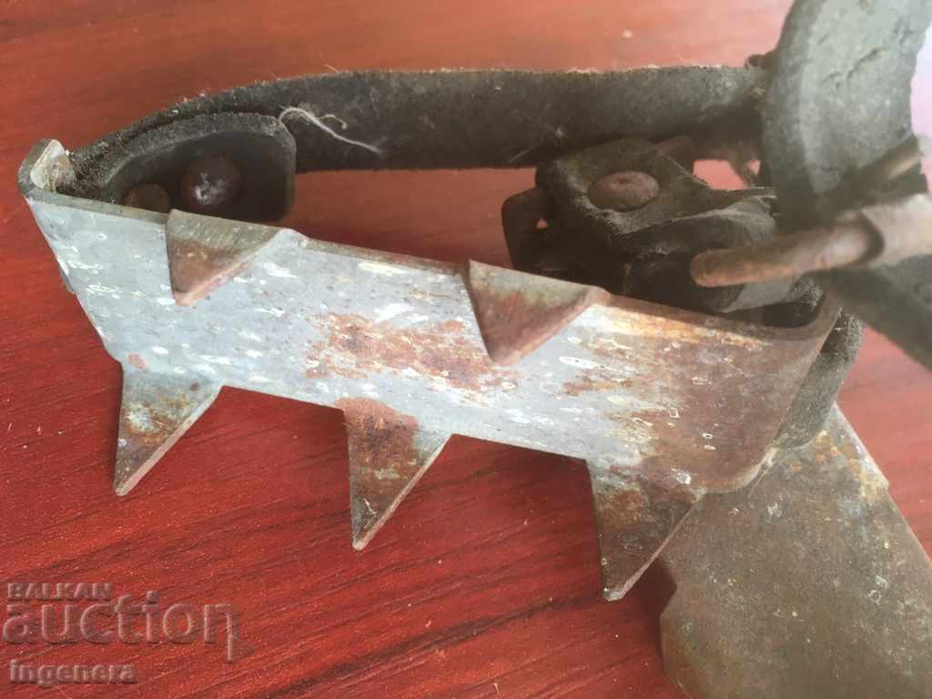 ICE CATS FOR TOURISM-2 PCS with price 23.00 BGN | € 11.76 ICE CATS FOR TOURISM-2 PCS with price 23.00 BGN | € 11.76