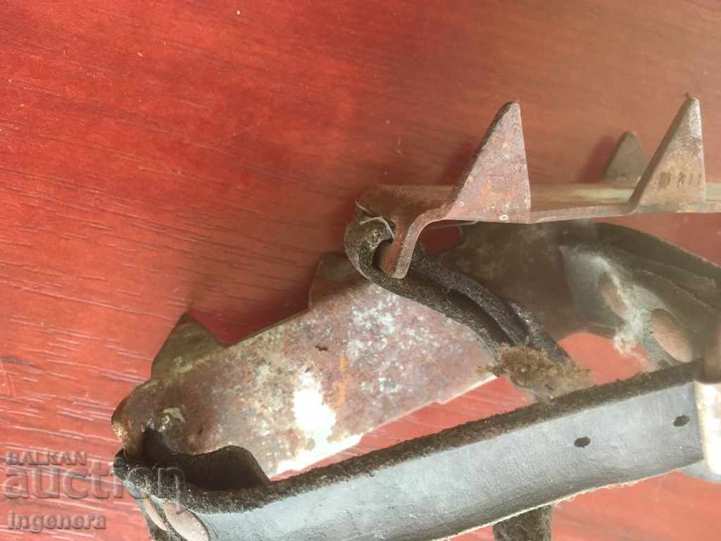 Auction ICE CATS FOR TOURISM-2 PCS Auction ICE CATS FOR TOURISM-2 PCS