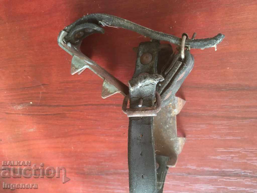 ICE CATS FOR TOURISM-2 PCS - 5 ICE CATS FOR TOURISM-2 PCS - 5