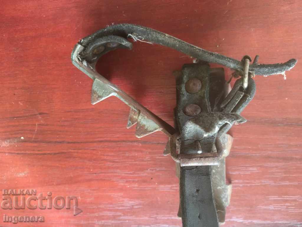 ICE CATS FOR TOURISM-2 PCS - 6 ICE CATS FOR TOURISM-2 PCS - 6