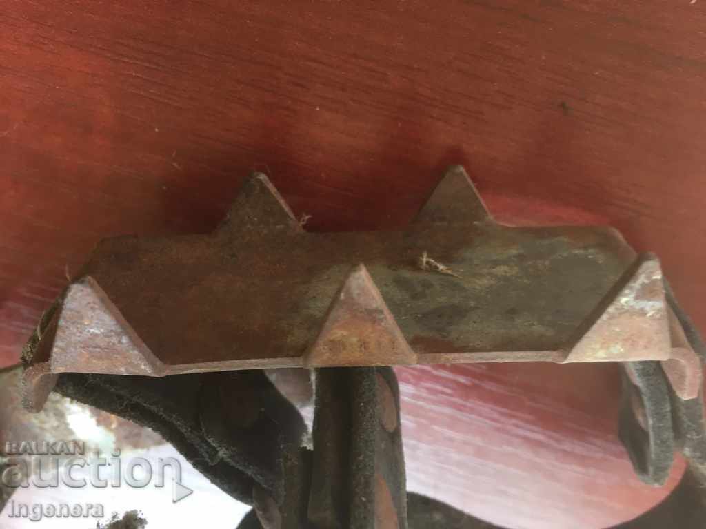 ICE CATS FOR TOURISM-2 PCS - 7 ICE CATS FOR TOURISM-2 PCS - 7