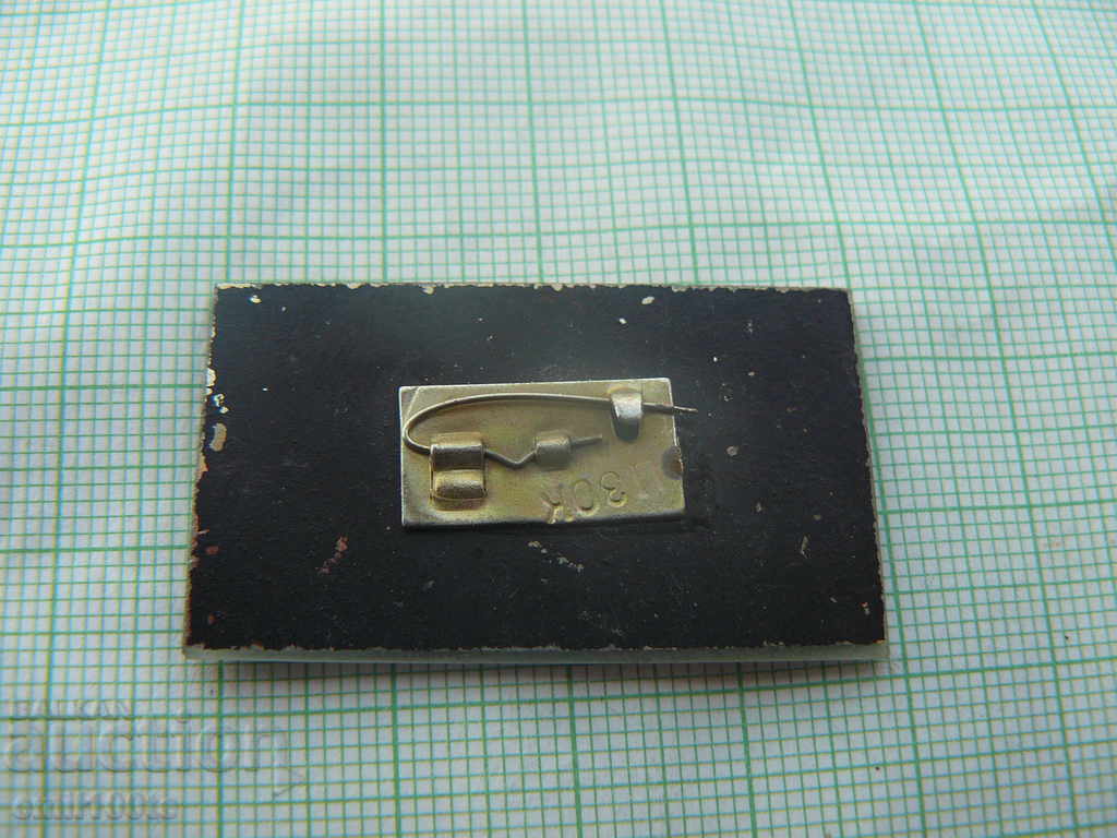 Badge - SATELLITE Bureau for International Youth Tourism of the USSR - 5 Badge - SATELLITE Bureau for International Youth Tourism of the USSR - 5