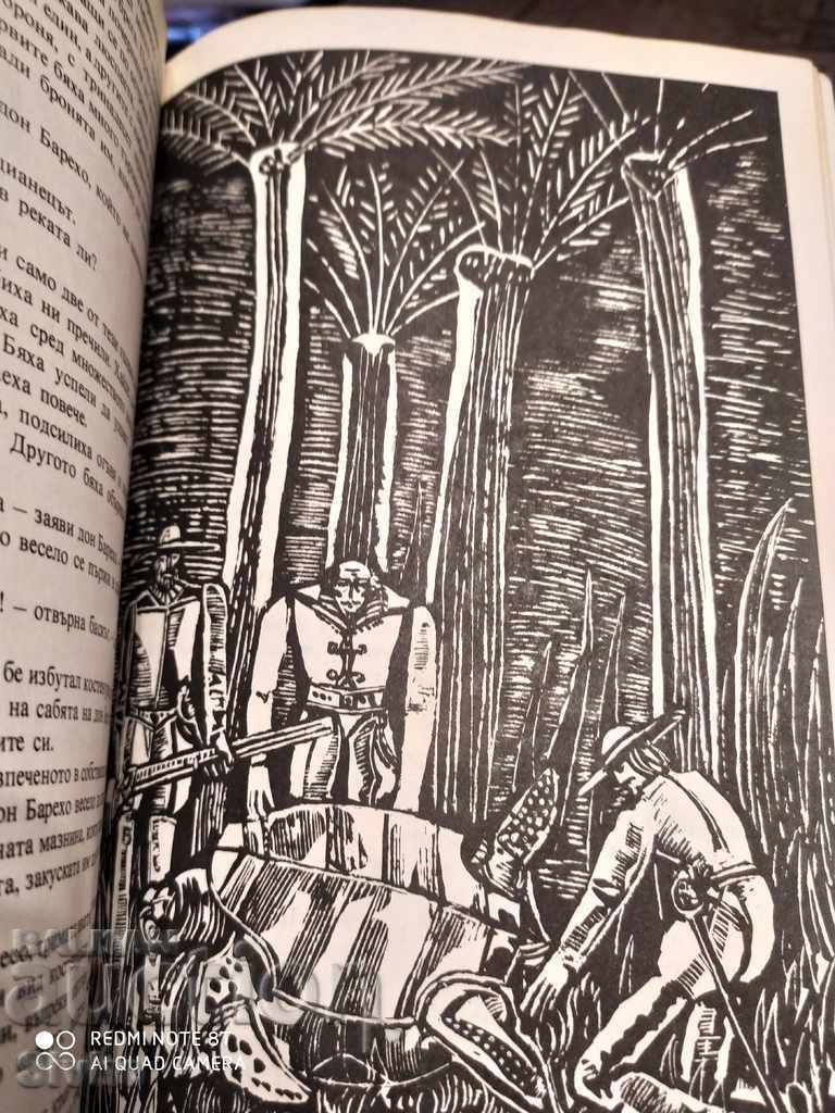 Auction The Last Buccaneers, Emilio Salgari, Illustrations, First Edition Auction The Last Buccaneers, Emilio Salgari, Illustrations, First Edition