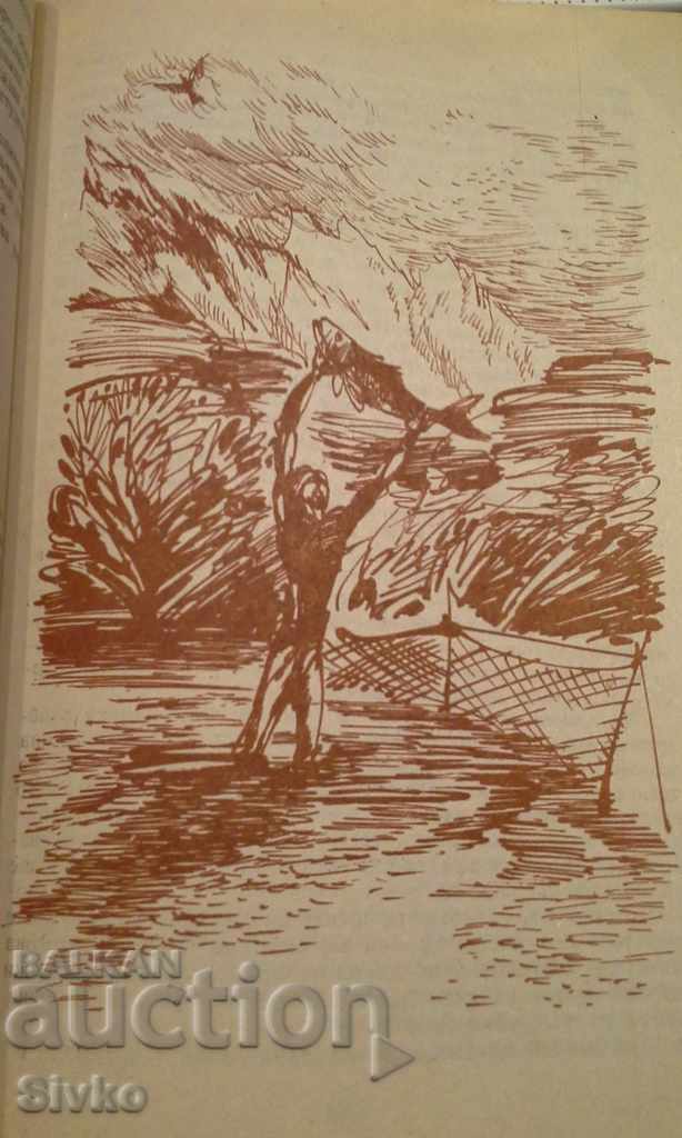 Climbers on the Rocks, Plant Hunters, Mayne Reid, illustrations - 5 Climbers on the Rocks, Plant Hunters, Mayne Reid, illustrations - 5