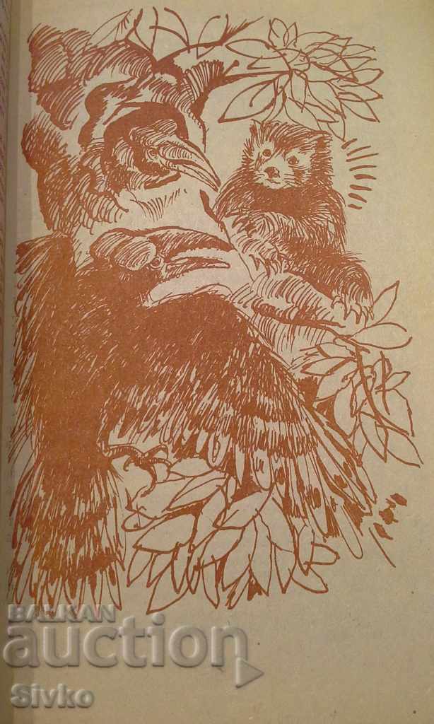 Climbers on the Rocks, Plant Hunters, Mayne Reid, illustrations - 7 Climbers on the Rocks, Plant Hunters, Mayne Reid, illustrations - 7