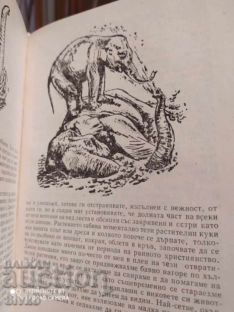 Three tickets to Adventure, Gerald Durrell, illustrations - 5 Three tickets to Adventure, Gerald Durrell, illustrations - 5