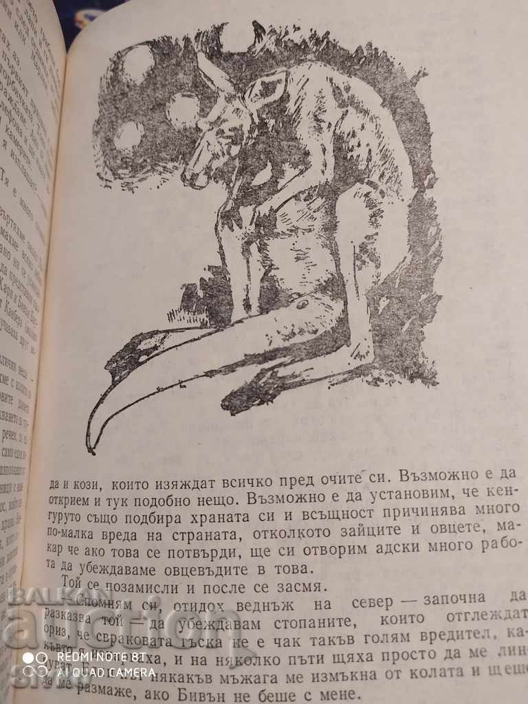 Three tickets to Adventure, Gerald Durrell, illustrations - 6 Three tickets to Adventure, Gerald Durrell, illustrations - 6