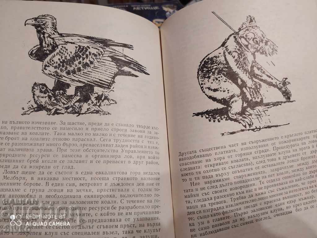 Three tickets to Adventure, Gerald Durrell, illustrations - 7 Three tickets to Adventure, Gerald Durrell, illustrations - 7